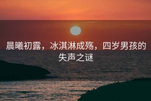 晨曦初露，冰淇淋成殤，四歲男孩的失聲之謎