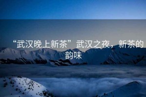 “武漢晚上新茶”武漢之夜，新茶的韻味