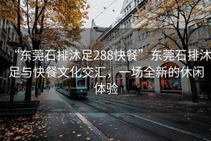 “東莞石排沐足288快餐”東莞石排沐足與快餐文化交匯，一場全新的休閑體驗