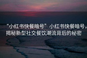 “小紅書快餐暗號(hào)”小紅書快餐暗號(hào)，揭秘新型社交餐飲潮流背后的秘密