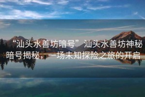 “汕頭水善坊暗號(hào)”汕頭水善坊神秘暗號(hào)揭秘，一場(chǎng)未知探險(xiǎn)之旅的開啟