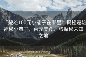 “楚雄100元小巷子在哪里”揭秘楚雄神秘小巷子，百元美食之旅探秘未知之地