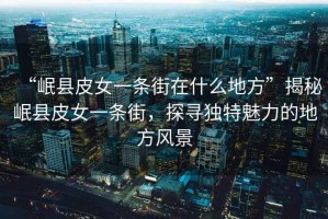 “岷縣皮女一條街在什么地方”揭秘岷縣皮女一條街，探尋獨特魅力的地方風(fēng)景