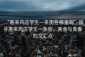 “惠來雞店學(xué)生一條街在哪里啊”探尋惠來雞店學(xué)生一條街，美食與青春的交匯點