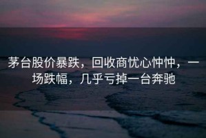 茅臺(tái)股價(jià)暴跌，回收商憂心忡忡，一場(chǎng)跌幅，幾乎虧掉一臺(tái)奔馳