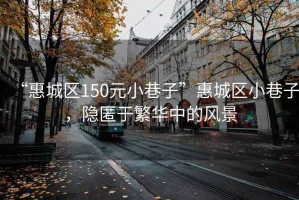 “惠城區(qū)150元小巷子”惠城區(qū)小巷子，隱匿于繁華中的風景