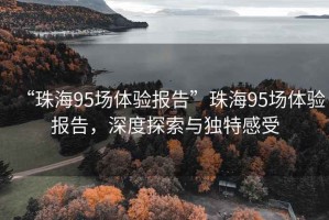 “珠海95場體驗報告”珠海95場體驗報告，深度探索與獨特感受