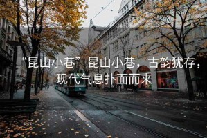 “昆山小巷”昆山小巷，古韻猶存，現(xiàn)代氣息撲面而來(lái)