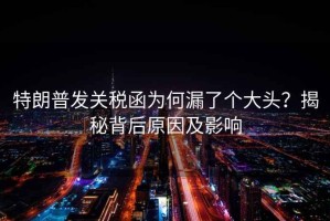 特朗普發(fā)關稅函為何漏了個大頭？揭秘背后原因及影響