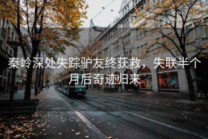 秦嶺深處失蹤驢友終獲救，失聯(lián)半個(gè)月后奇跡歸來
