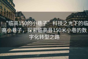 “臨高150的小巷子”科技之光下的臨高小巷子，探索臨高縣150米小巷的數(shù)字化轉(zhuǎn)型之路