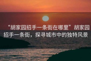 “胡家園招手一條街在哪里”胡家園招手一條街，探尋城市中的獨特風景