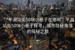 “平湖站街50塊小巷子在哪啊”平湖站街50塊小巷子探尋，城市隱秘角落的探秘之旅
