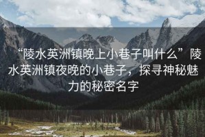 “陵水英洲鎮(zhèn)晚上小巷子叫什么”陵水英洲鎮(zhèn)夜晚的小巷子，探尋神秘魅力的秘密名字