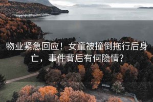 物業(yè)緊急回應(yīng)！女童被撞倒拖行后身亡，事件背后有何隱情？