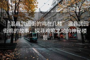 “溫縣武園街的雞在幾樓”溫縣武園街雞的故事，探尋雞鳴之地的神秘樓層