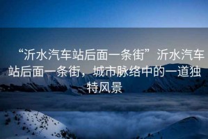 “沂水汽車站后面一條街”沂水汽車站后面一條街，城市脈絡(luò)中的一道獨特風(fēng)景