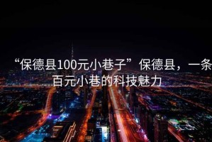 “保德縣100元小巷子”保德縣，一條百元小巷的科技魅力