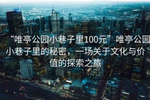 “唯亭公園小巷子里100元”唯亭公園小巷子里的秘密，一場關(guān)于文化與價值的探索之旅