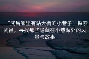 “武昌哪里有站大街的小巷子”探索武昌，尋找那些隱藏在小巷深處的風(fēng)景與故事