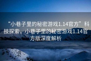 “小巷子里的秘密游戲1.14官方”科技探索，小巷子里的秘密游戲1.14官方版深度解析