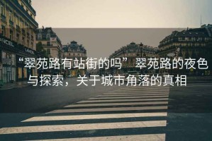 “翠苑路有站街的嗎”翠苑路的夜色與探索，關(guān)于城市角落的真相