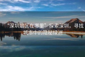 “深圳娼區(qū)在哪里”探索深圳，尋找城市中的隱秘綠洲