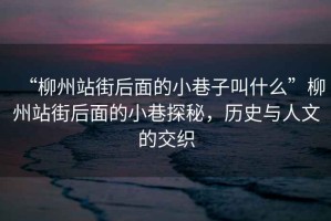 “柳州站街后面的小巷子叫什么”柳州站街后面的小巷探秘，歷史與人文的交織