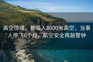 高空驚魂，被吸入8000米高空，當事人停飛6個月，航空安全再敲警鐘