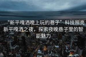“新平嘎灑晚上玩的巷子”科技照亮新平嘎灑之夜，探索夜晚巷子里的智能魅力