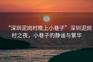 “深圳泥崗村晚上小巷子”深圳泥崗村之夜，小巷子的靜謐與繁華
