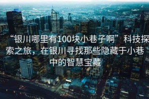 “銀川哪里有100塊小巷子啊”科技探索之旅，在銀川尋找那些隱藏于小巷中的智慧寶藏