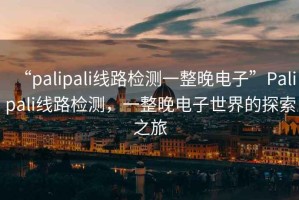 “palipali線路檢測(cè)一整晚電子”P(pán)alipali線路檢測(cè)，一整晚電子世界的探索之旅