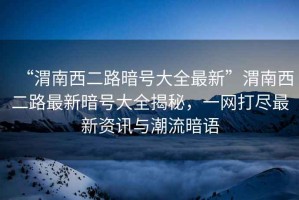 “渭南西二路暗號大全最新”渭南西二路最新暗號大全揭秘，一網(wǎng)打盡最新資訊與潮流暗語