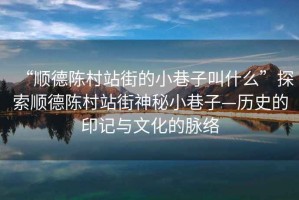 “順德陳村站街的小巷子叫什么”探索順德陳村站街神秘小巷子—?dú)v史的印記與文化的脈絡(luò)