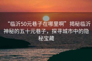 “臨沂50元巷子在哪里啊”揭秘臨沂神秘的五十元巷子，探尋城市中的隱秘寶藏
