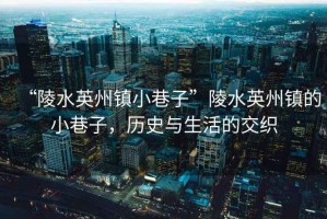“陵水英州鎮(zhèn)小巷子”陵水英州鎮(zhèn)的小巷子，歷史與生活的交織