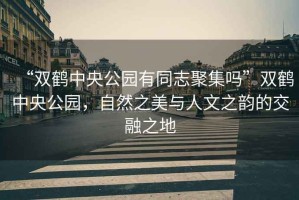 “雙鶴中央公園有同志聚集嗎”雙鶴中央公園，自然之美與人文之韻的交融之地
