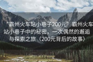 “霸州火車站小巷子200元”霸州火車站小巷子中的秘密，一次偶然的邂逅與探索之旅（200元背后的故事）
