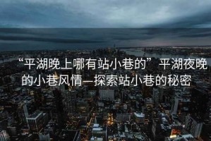 “平湖晚上哪有站小巷的”平湖夜晚的小巷風情—探索站小巷的秘密