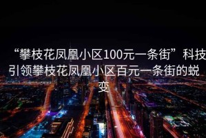 “攀枝花鳳凰小區(qū)100元一條街”科技引領(lǐng)攀枝花鳳凰小區(qū)百元一條街的蛻變