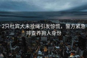 2只杜賓犬未拴繩引發(fā)驚慌，警方緊急排查養(yǎng)狗人身份