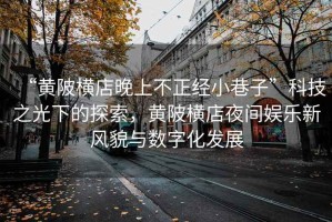 “黃陂橫店晚上不正經(jīng)小巷子”科技之光下的探索，黃陂橫店夜間娛樂新風(fēng)貌與數(shù)字化發(fā)展