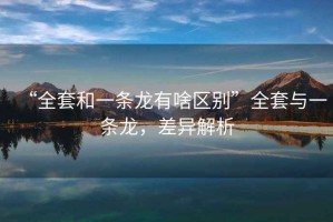 “全套和一條龍有啥區(qū)別”全套與一條龍，差異解析