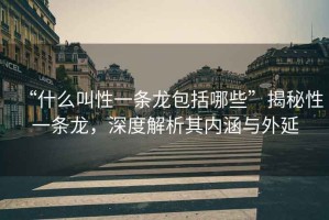 “什么叫性一條龍包括哪些”揭秘性一條龍，深度解析其內(nèi)涵與外延