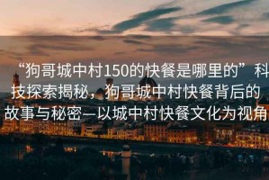 “狗哥城中村150的快餐是哪里的”科技探索揭秘，狗哥城中村快餐背后的故事與秘密—以城中村快餐文化為視角