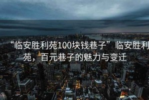 “臨安勝利苑100塊錢巷子”臨安勝利苑，百元巷子的魅力與變遷