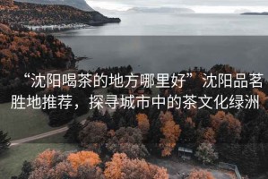 “沈陽喝茶的地方哪里好”沈陽品茗勝地推薦，探尋城市中的茶文化綠洲