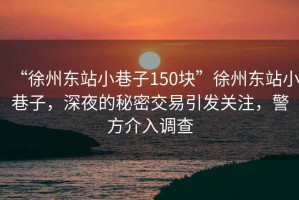“徐州東站小巷子150塊”徐州東站小巷子，深夜的秘密交易引發(fā)關(guān)注，警方介入調(diào)查