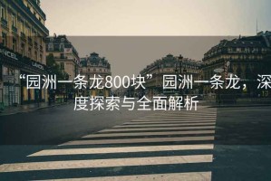 “園洲一條龍800塊”園洲一條龍，深度探索與全面解析